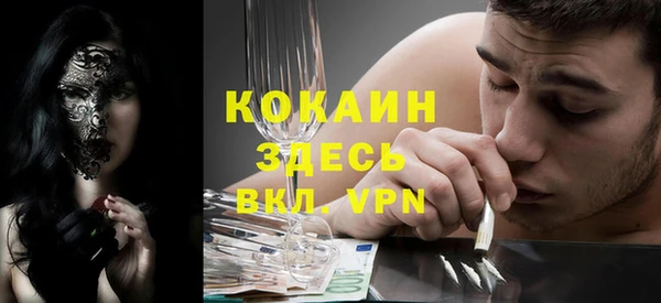 спиды Богородицк