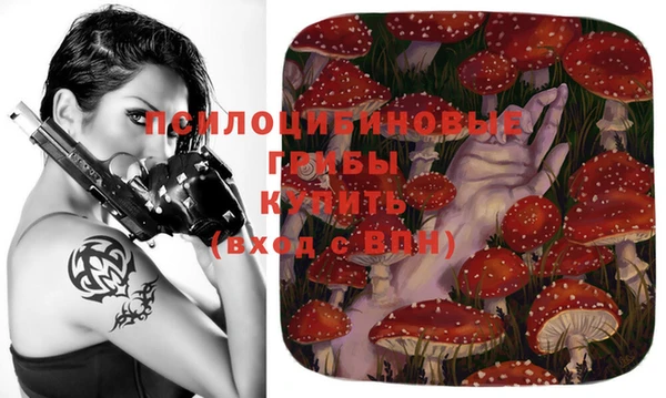 ПСИЛОЦИБИНОВЫЕ ГРИБЫ Бронницы