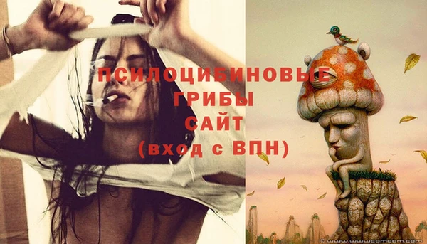 сатива Володарск