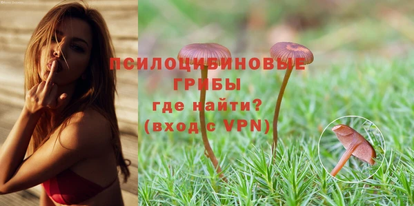 дмт Бородино
