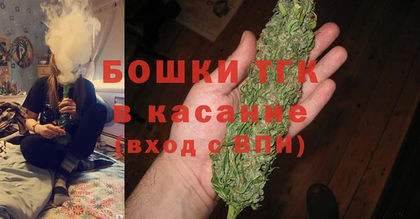 дмт Бородино
