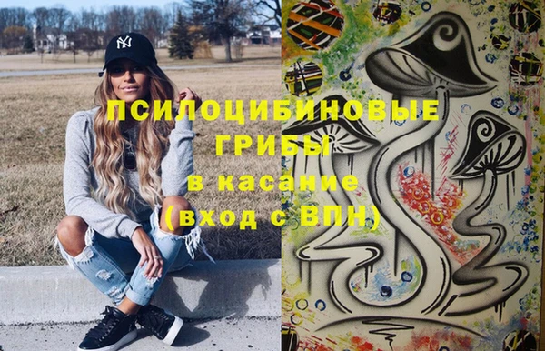 дурь Верея