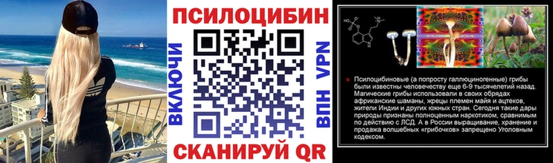Псилоцибиновые грибы Psilocybe  Гвардейск 